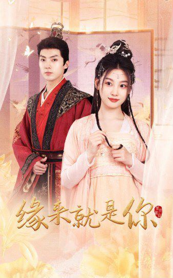 新版：缘来就是你海报